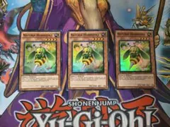 Naturia Horneedle