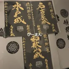 Item thumbnail for item 8e7b9273-8e78-400b-a4c9-460c78bfa194