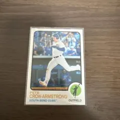 Item thumbnail for item 8f2dd23f-a1c7-41f8-9b71-373594430cd8