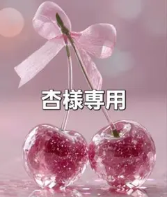 杏様専用 カラビナリクエスト2個