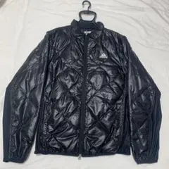 Item thumbnail for item 4b3c492a-95d8-4c5a-b219-a15c916ed6d4