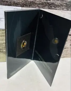 Item thumbnail for item 039c5b81-02f1-44e8-af1b-a017275a6942