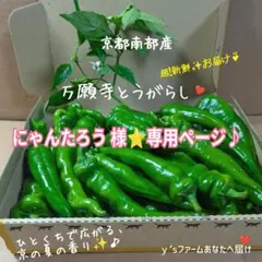 にゃんたろう様⭐️専用ページ♪のサムネイル
