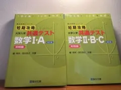 あみんぼ様 リクエスト 2点 まとめ商品