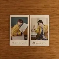 BUDDiiS SEIYA ミニフォト2枚セット BUDDiiS SEIYA ミニフォト 2枚セット - メルカリ