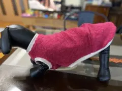 Item thumbnail for item 3644cc85-e336-405c-88cf-0f32a2f5b7ba