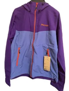 Item thumbnail for item 2d1bfc72-4b29-4012-b482-0d9d3fb91c94