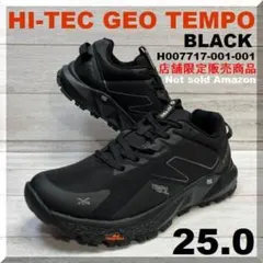 25.0cm 店舗限定 希少 HI-TEC GEO TEMPO 新品 アウトドアのサムネイル