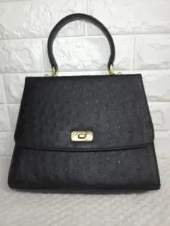 オーストリッチ 2way バック ブラック