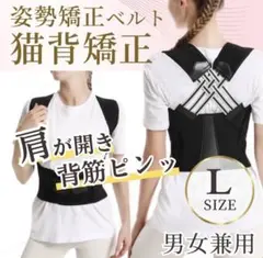 Item thumbnail for item 4e67349a-dc1e-4625-96e2-68b48fcd9a66