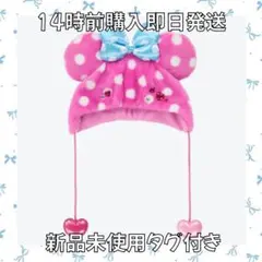 【新品未使用タグ付き】ファンキャップ ミニー パルパルーザ ディズニー