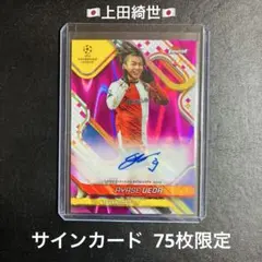 Item thumbnail for item cc37ab92-b4bc-4e0c-a9c8-c8db3b7ece41