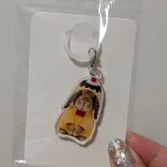 たれみみ稲荷チャーム