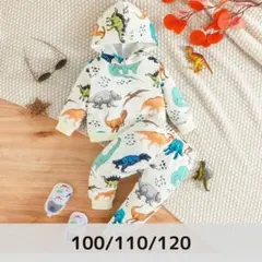 Item thumbnail for item 6af53109-14d3-4b97-be7f-6935be14a155