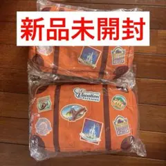 【2個セットバラ売り可】2024 ディズニーバケパ　限定　ブランケット