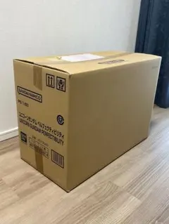 Item thumbnail for item 07a08dcd-7ddf-4f21-8dfd-6ab7160bc330