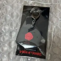 ENHYPEN ニキ House of vampire ボイスキーホルダー