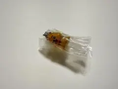 Straykids SKZOO スキズ ガチャめじるしアクセサリー ハンクォッカ