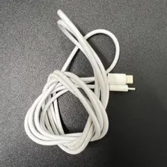 完動品 純正 Apple 100W USB-C 充電ケーブル (2m)
