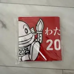 レア　メルカリ便発送　国スポ滋賀　応援用スティックバルーン 2025年