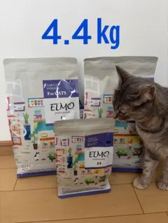 2026年最新】elmo キャットフード 子猫の人気アイテム - メルカリ