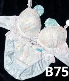 B75 フリル水彩シアーブルームブラジャー&フルバックショーツ