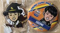 Item thumbnail for item d907a63d-d0f5-468a-9486-7c88eb745b9f