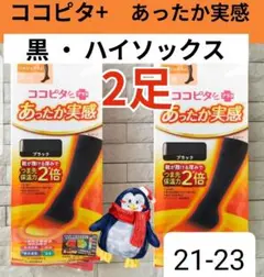 Item thumbnail for item dd6465cb-1058-4bc8-9875-138599cd4026