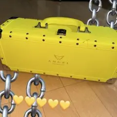 エンジェルシャンパンANGEL CHAMPAGNE トランクケース グリーン空箱