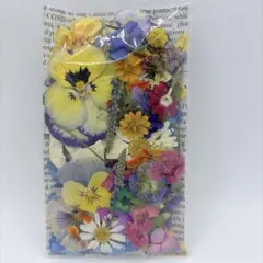 押し花＆ドライフラワー花びら♡フラワーパーツ1