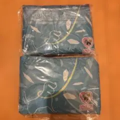 Item thumbnail for item ab5f7e9c-ea14-40ce-9b0c-6e2c65ac0d7c