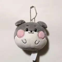 ZB1 ゼベワン zeroni gunini ゴニニ フェイスキーリング ゴヌク