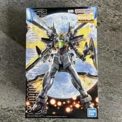 2026年最新】MG 1/100 ガンダムダブルエックスの人気アイテム - メルカリ