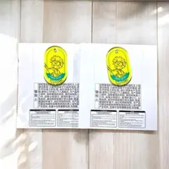 【新品未使用品】忍たま乱太郎　セガラッキーくじ　C賞　猪名寺乱太郎