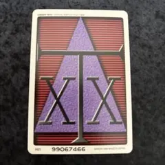 HUNTER×HUNTER カードダス ハイパーバトル H01 ライセンスカード