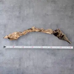 Item thumbnail for item 1e5890b8-3b0b-40e6-9633-8c919dd717dd