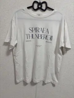 earth music&ecology 半袖Tシャツ