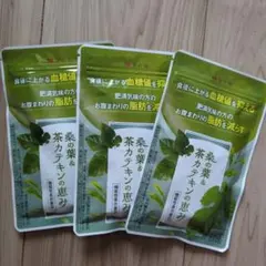 未開封4セット】マルンガイ100% 健美葉 100g粉末×4 - メルカリ