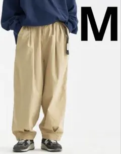 Item thumbnail for item 81284c51-9b07-4b14-9a1e-ecc55b15c276