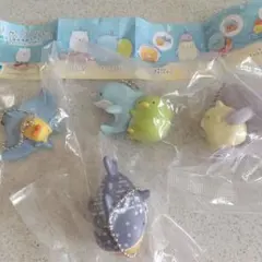 (*^-^*) すみっコぐらし沖縄美ら海水族館の生きものたち♪♪♪