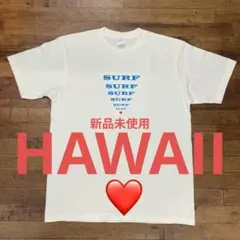 【新品未使用】SURF　オリジナル Tシャツ　 Lサイズ　★ハワイのサムネイル