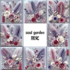 soul garden 251101c