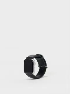エンダースキーマ apple watch band
