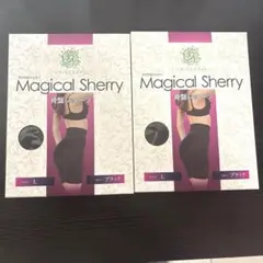 マジカルシェリー Magical Sherry 骨盤ショーツ　Lサイズ2点セット