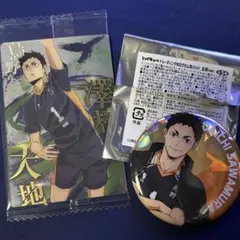 ハイキュー!! 澤村大地 2点セット