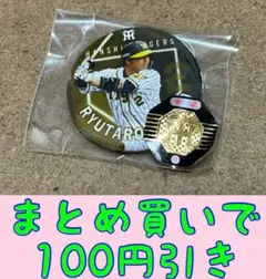 たいのすけ様 リクエスト 2点 まとめ商品