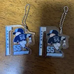 Item thumbnail for item 59e09483-1159-4310-94b9-ed2f9878d2e4