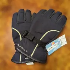 Item thumbnail for item 5f21eb20-f3d0-4daf-b421-3ae9e283fd72