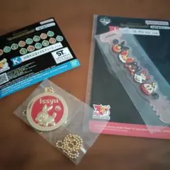 ポケモン 一番くじ 30周年 メタルチャーム ラバーコレクションのサムネイル