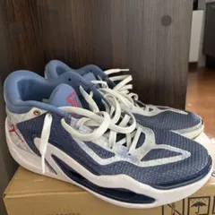 Jordan テイタム1 28.0cm